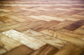 10+ Những Điều Mà Bạn Nên Biết Về Cây Gỗ Lát
