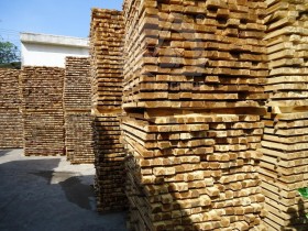 Kiến thức về gỗ tràm trong tự nhiên và ứng dụng thực tiễn